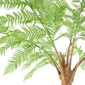 Dicksonia Artificielle (fougere)