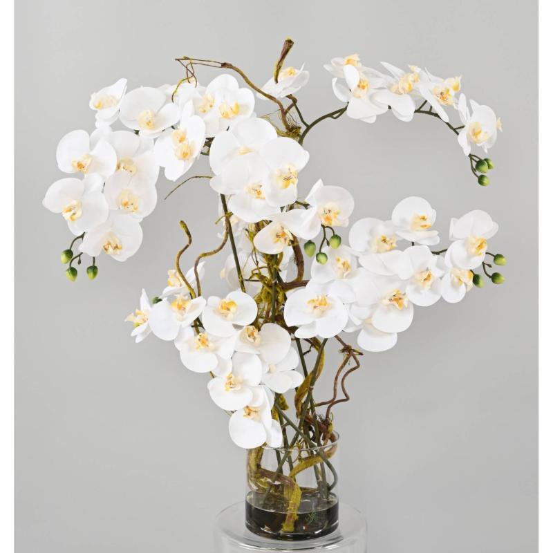 Composition Artificielle Phalaenopsis