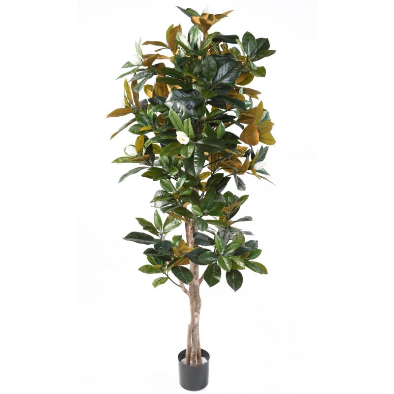 Magnolia Artificiel