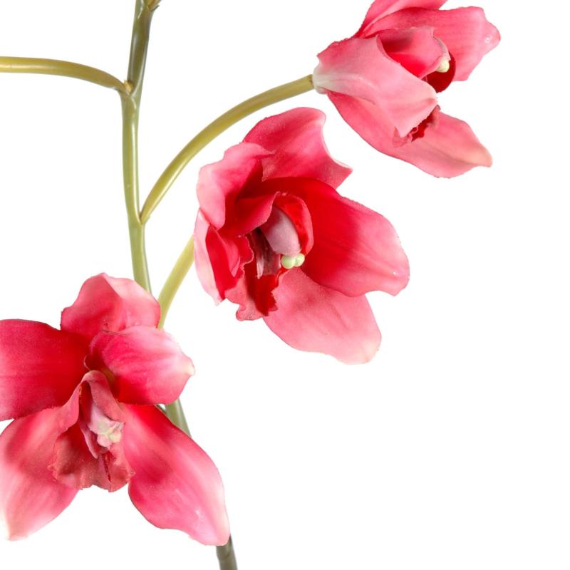 Cymbidium Artificiel