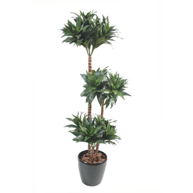 Dracaena Artificiel Fragrans 3 Boules