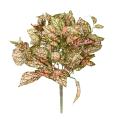 Coleus Artificiel