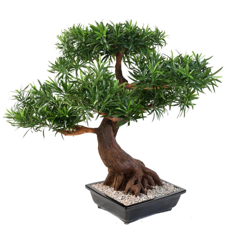 Bonsai Artificiel Podocarpus en Coupe