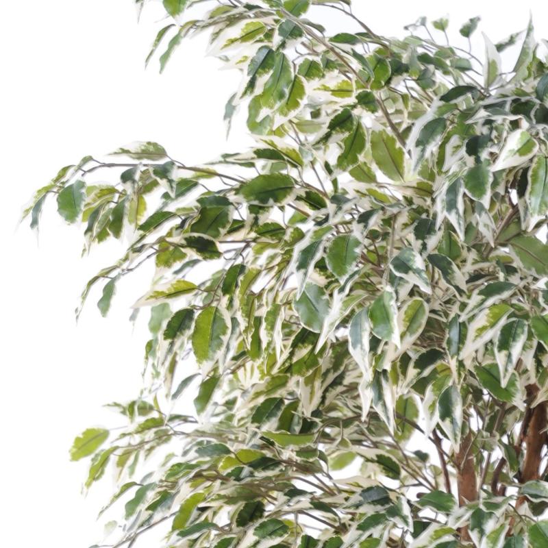 Ficus Artificiel Lianes PF