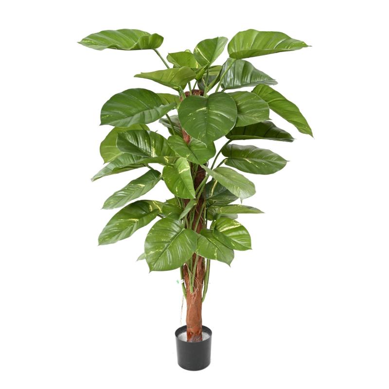 Pothos Artificiel Geant