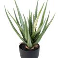 Aloe Artificielle 48