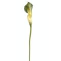 Calla Artificielle Lily