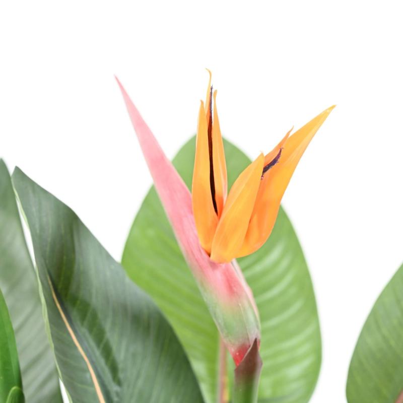 Strelitzia Artificiel 2fl 2bt