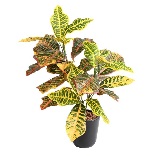 Croton Artificiel *28