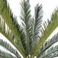 Cycas Artificiel Geant *15