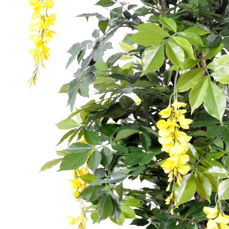 Glycine Artificielle Multi TREE