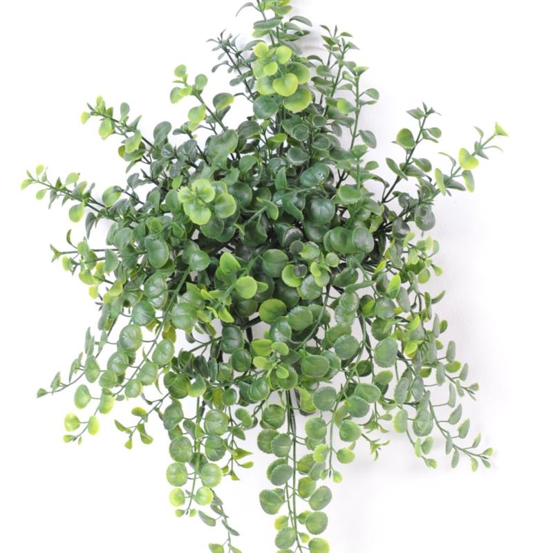 Peperomia Artificiel Chute PLAST