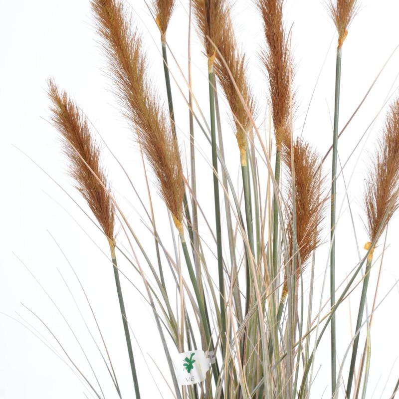 Foxtail Artificiel GF