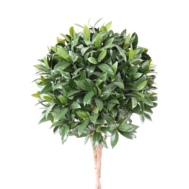 Laurier Nobilis Artificiel NEW Tige Boule 145 UV