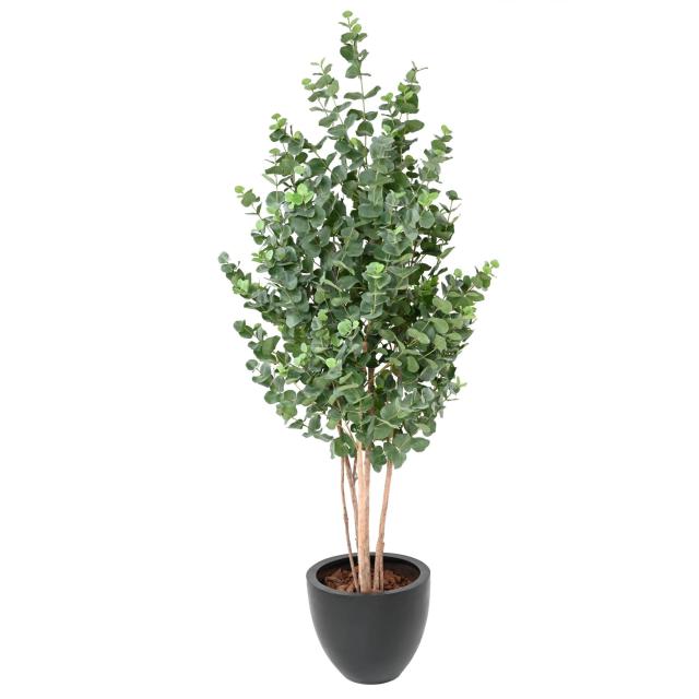 Eucalyptus Artificiel Gunnii Buisson