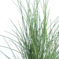 Herbe Artificielle Honey Grass