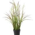 Acorus Artificiel Fleuri Pot