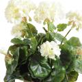 Geranium Artificiel *52