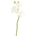 Phalaenopsis Artificielle Mini Orchid