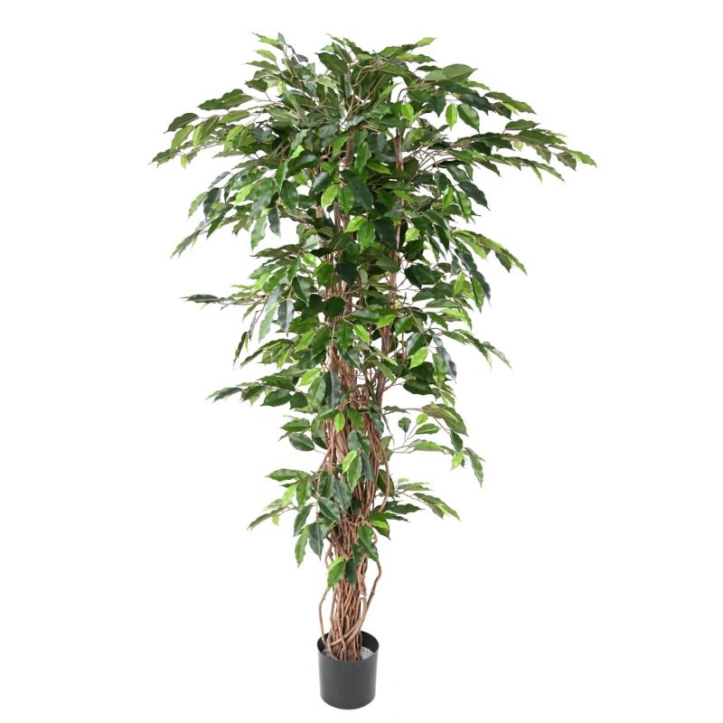 Ficus Artificiel Lianes GF