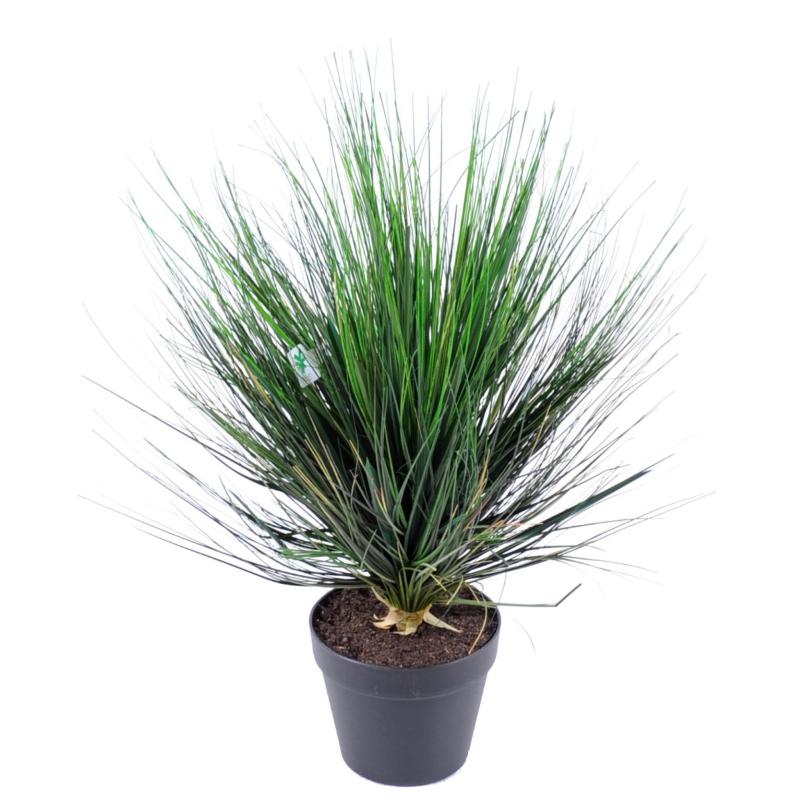 Onion Grass Artificiel Round