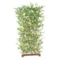Bambou Artificiel Japanese PLAST Haie UV Socle 70