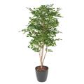 Ginkgobiloba Artificiel 180 N