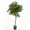 Citronnier Artificiel Tete