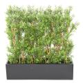 Eucalyptus Artificiel Haie UV