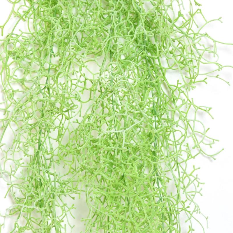 Tillandsia Artificiel Chute