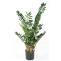 Zamia Artificiel 110