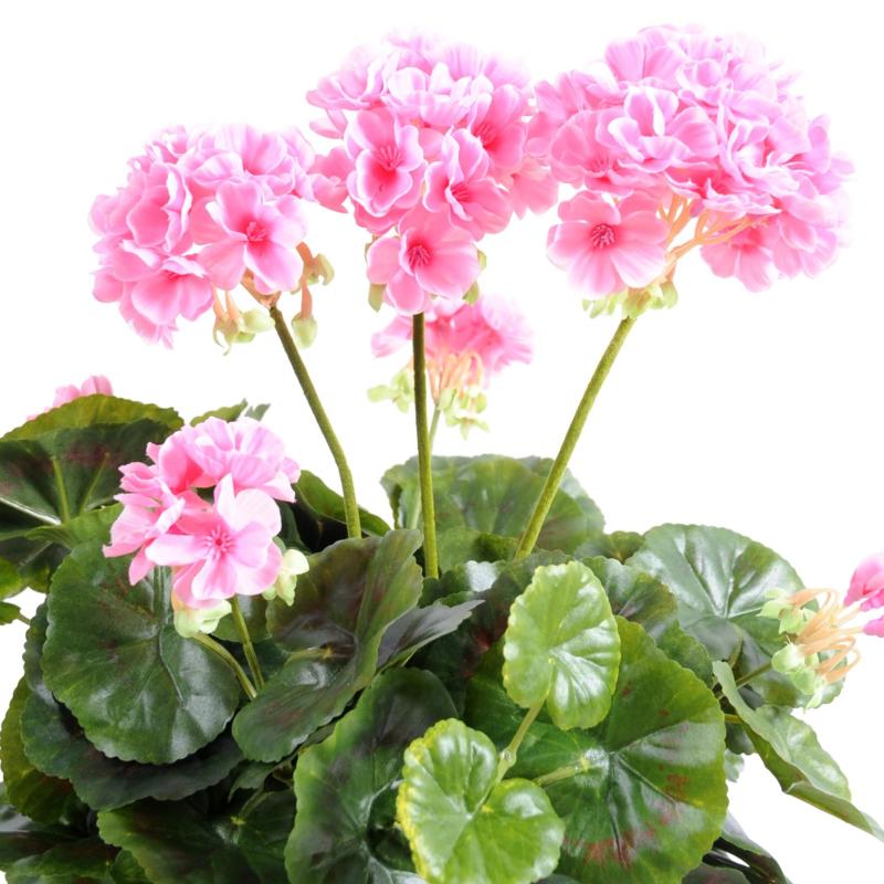 Geranium Artificiel *52