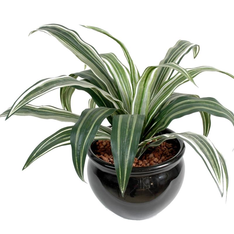 Dracaena Artificiel Warneki 20f