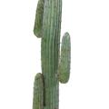 Cactus Artificiel Mexico GR