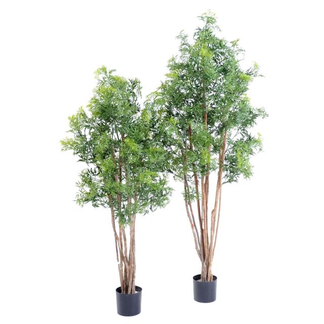 Aralia Artificiel Ming Nitida