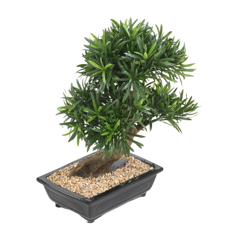 Bonsaï Artificiel Podocarpus en Coupe