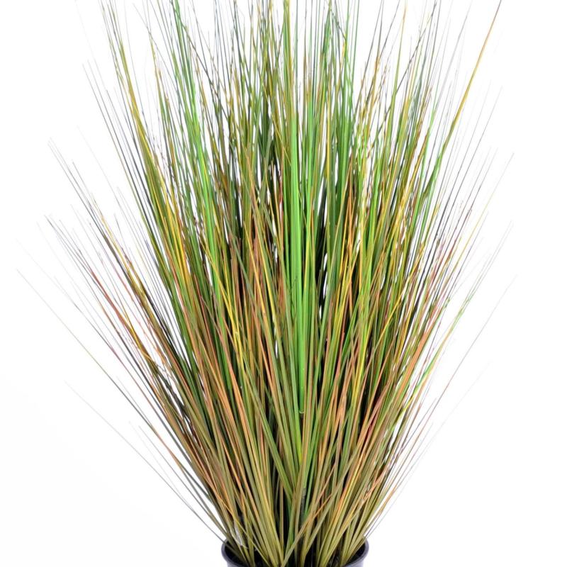 Onion Grass Artificiel GF