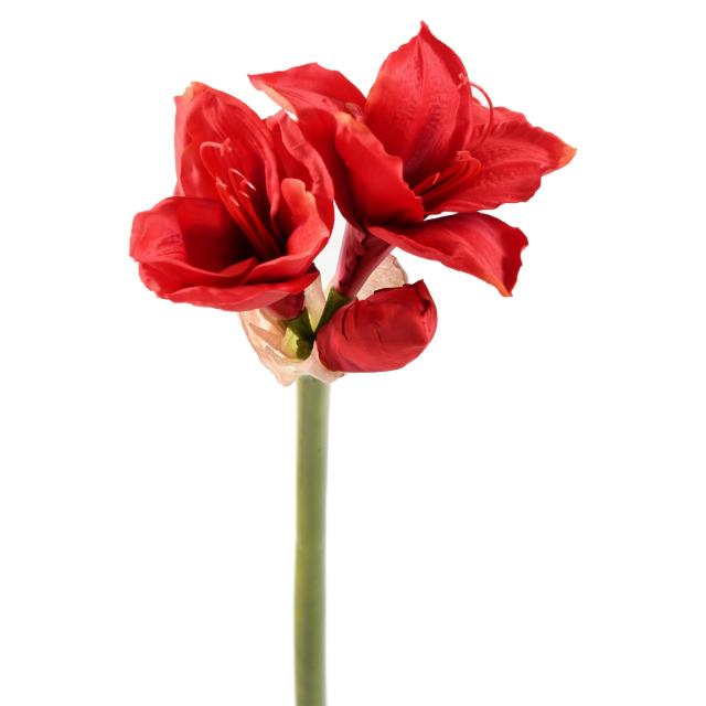 Amaryllis Artificielle Tige