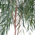 Saule Artificiel