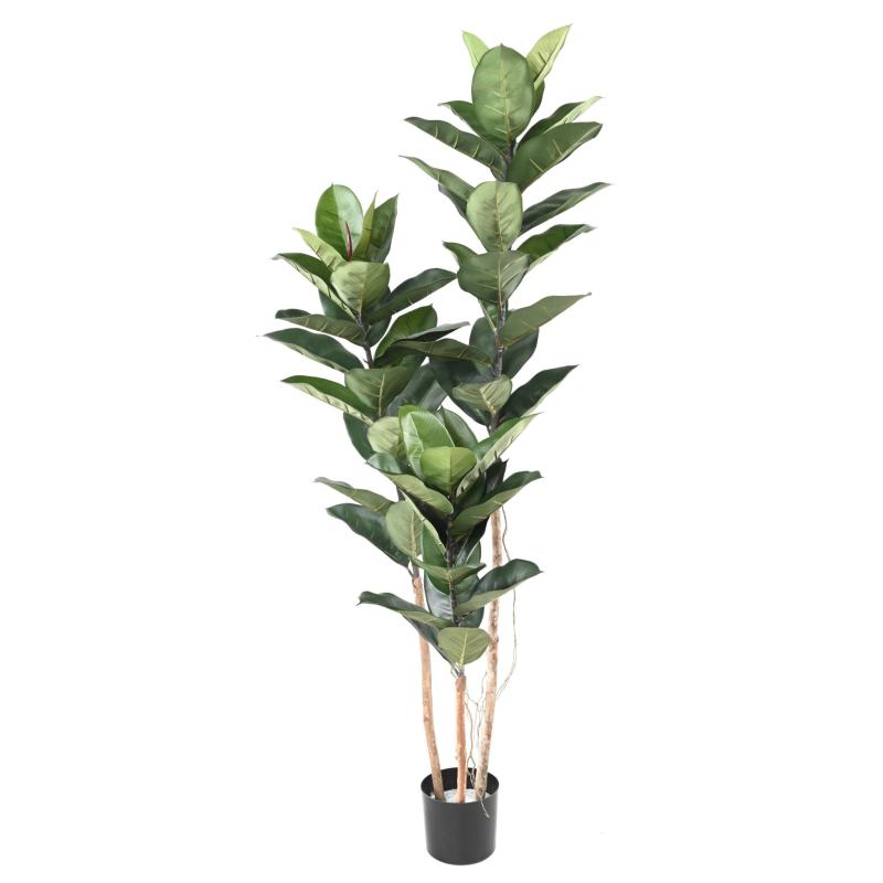 Rubber Plant Artificiel , Ficus Elastica