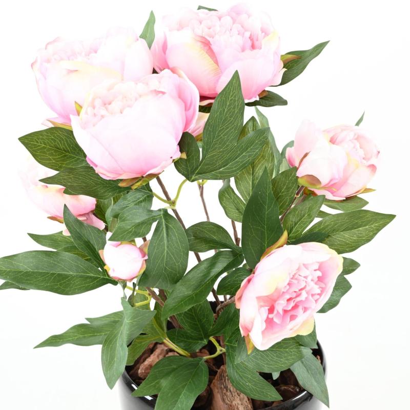 Pivoine *6 Artificielle