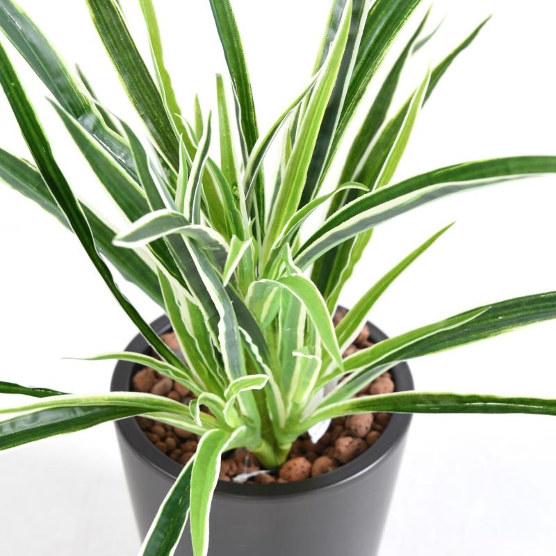 Dracaena Plant Artificiel