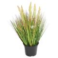 Onion Artificiel Grass Graine