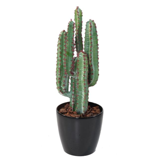Cactus Artificiel 77
