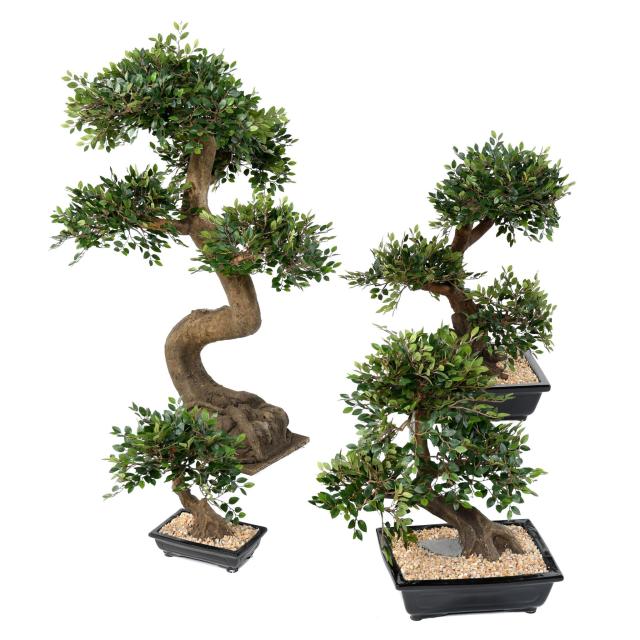 Orme Bonsai Artificiel