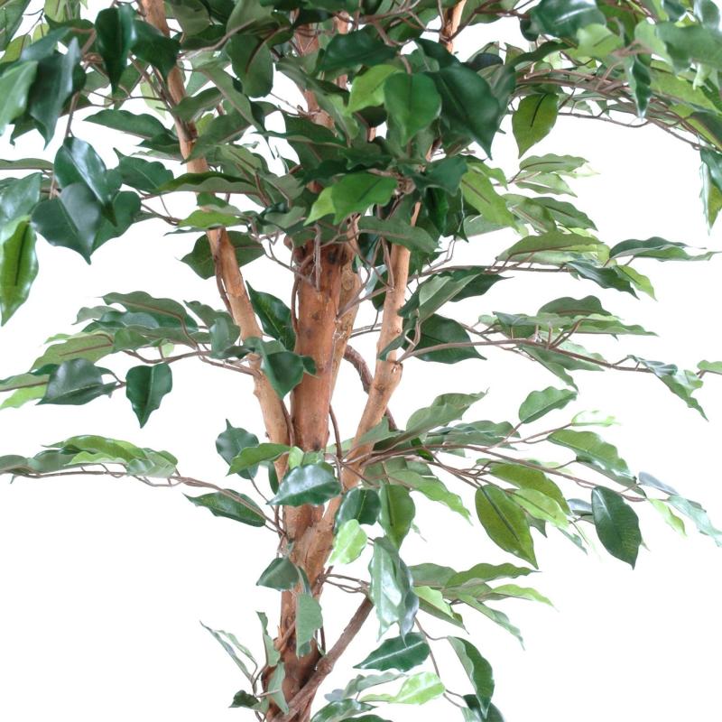 Ficus Artificiel Tronc Simple GF