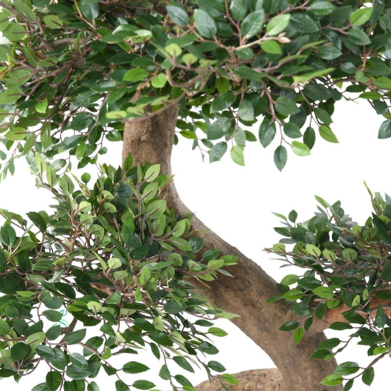 Orme Bonsai Artificiel