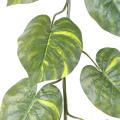 Pothos Artificiel Geant Guirlande