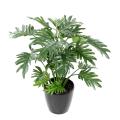 Philodendron Artificiel Selloum