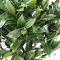 Laurier Nobilis Artificiel NEW Tige Boule 130 UV